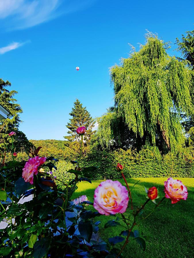 B&B Le Reclus Mont-de-l'Enclus Dış mekan fotoğraf